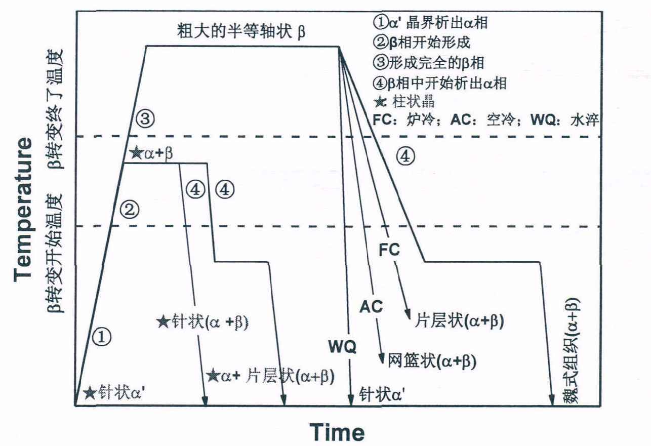 热处理工艺对SLM成形的 Ti-6A1-4V合金的显微组织的影响,(这家伙写了一百七十多页,都比上一本书了!)