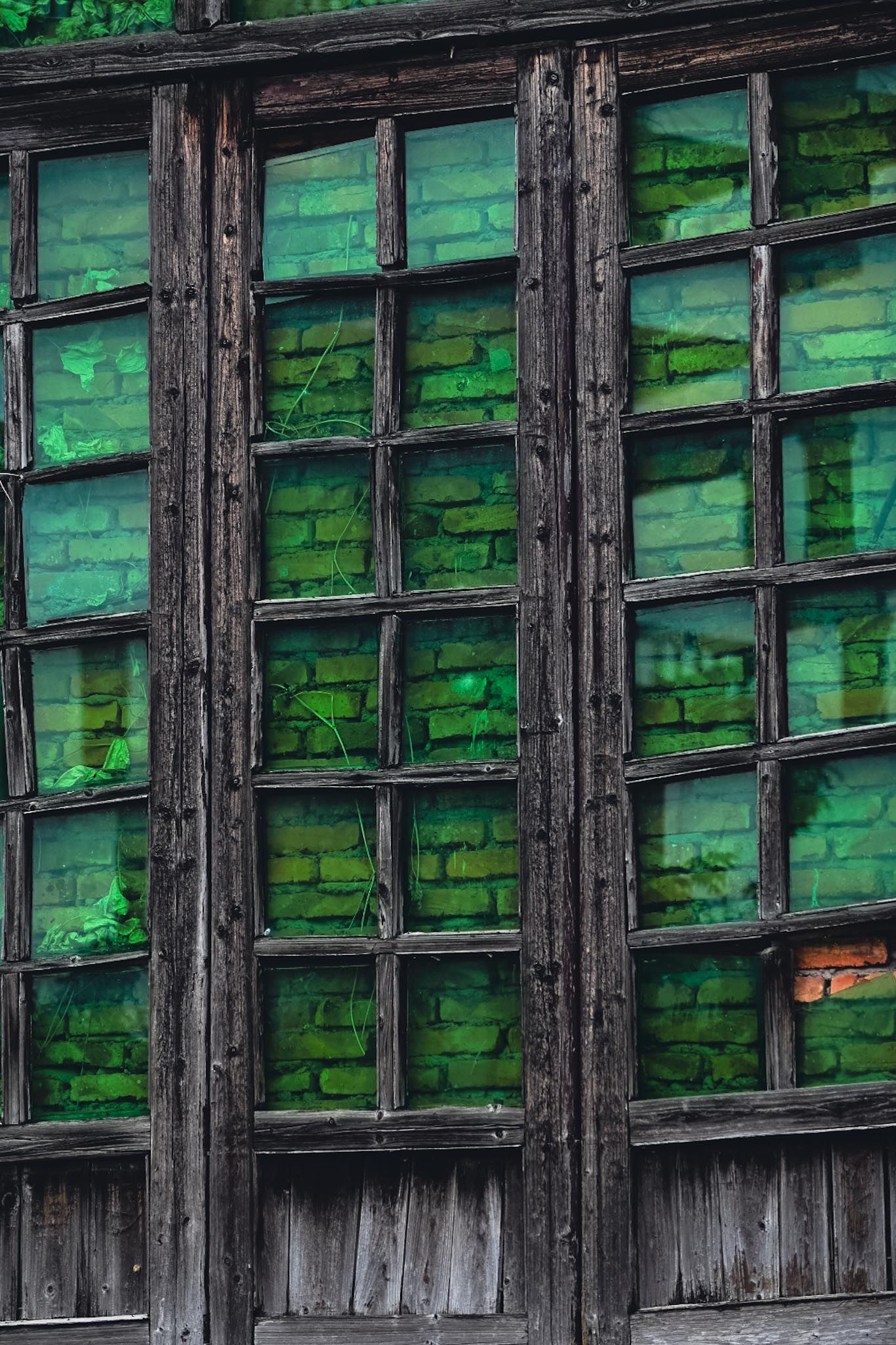 🏅《废弃大门》