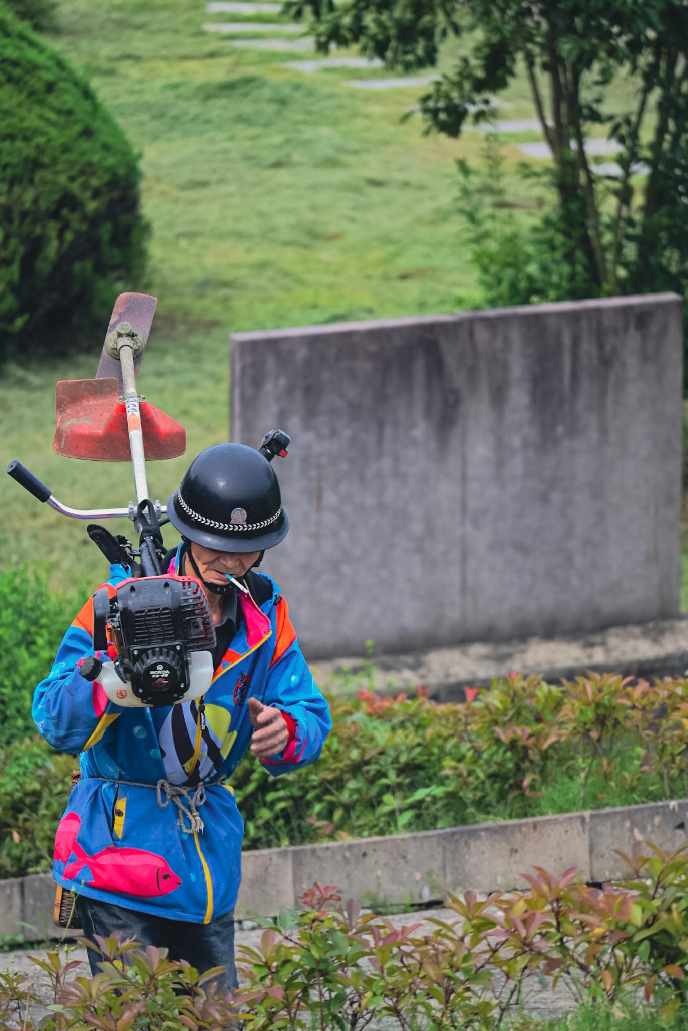 《一个钓过鱼、当过保安的杨梅园果农》
